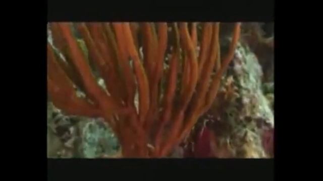 Секрет ЖИВОЙ ВОДЫ в Вашем стакане 1 смотреть онлайн