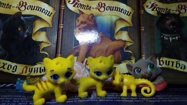 Открываю свит бокс