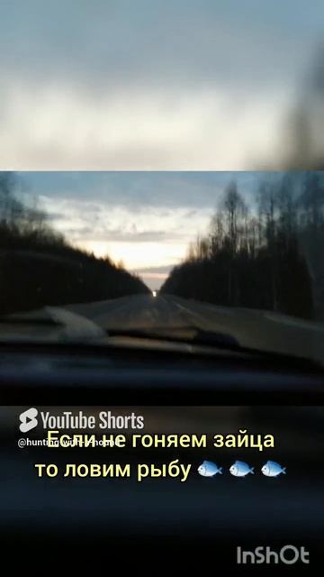 Если не гоняем зайца то ловим рыбу 🐟 🐟 🐟.#рыбалка #fishing #щука#охотасгончей #топ #hunting #tro смотреть онлайн