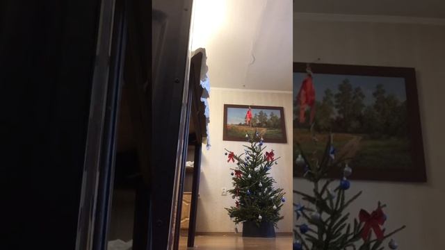 растения в саду дзен смотреть онлайн