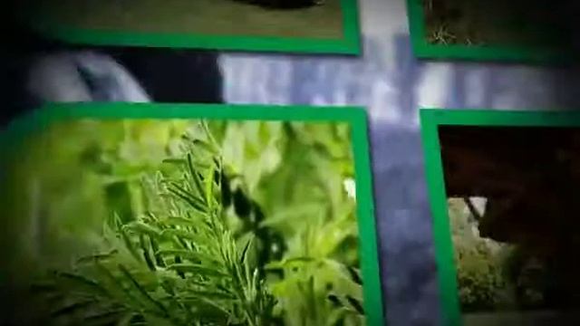 Технология заготовки кормов компании Петтингер (Pottinger)