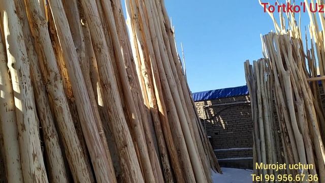 17.03.2021 ТУРТКУЛЬ МУСУЛЬМОН ОГОЧ (ДАРАК) НАРХЛАРИ смотреть онлайн