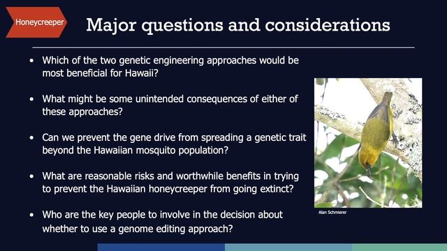 Engineering the World Around Us: Genome Editing and the Environment смотреть онлайн