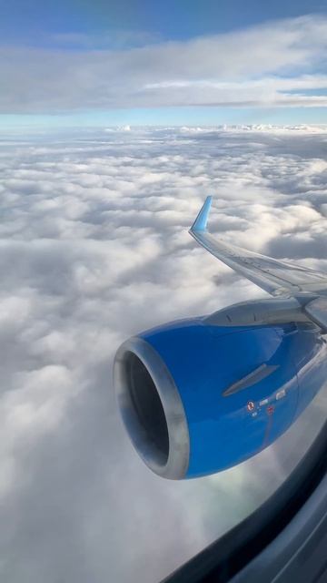 Полет над облаками #победа #boeing737 #shorts #short смотреть онлайн