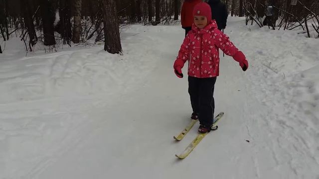 28.01.2017 Прогулка на лыжах смотреть онлайн
