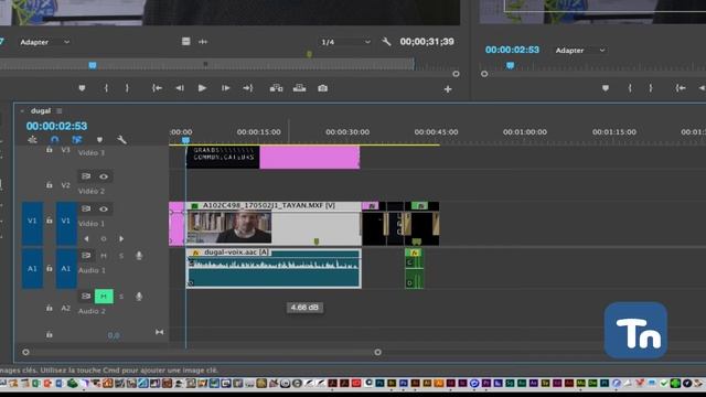Adobe Premiere Pro CC2017 - Mono/stéréo Et Gain Audio
