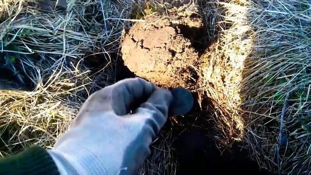 В погоне за монетами. смотреть онлайн