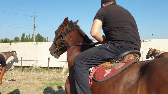 БАЛАДАН ажыраган ЭНЕ кандай АБАЛДА калды | Учкун мал базары смотреть онлайн