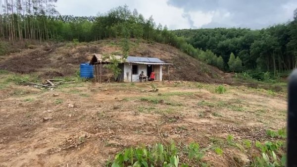 Project farm, Growing onions, Growing cowpeas, Growing squash, Pouring cement floor