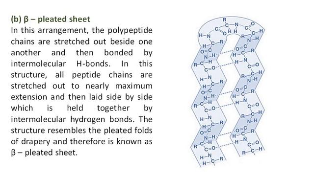 Structure of Proteins смотреть онлайн