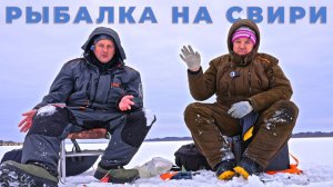 ТАЙНЫ ЗИМНЕЙ СВИРИ: Как Мы Ловили Всё, Кроме Щуки...