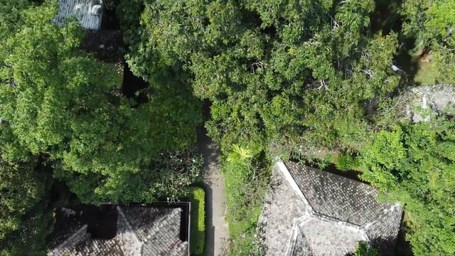 Koh Samui..The Hive Hotel смотреть онлайн
