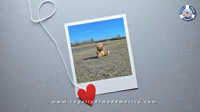 Gun guy's Valentine's Day gift gone wrong смотреть онлайн