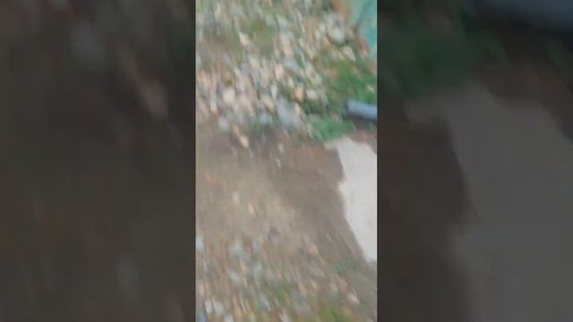 1 часть (уборки тровы у школы). смотреть онлайн
