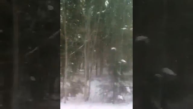 2.Электро-дизельный поезд. Санкт - Петербург (Витебский)- Новгород смотреть онлайн