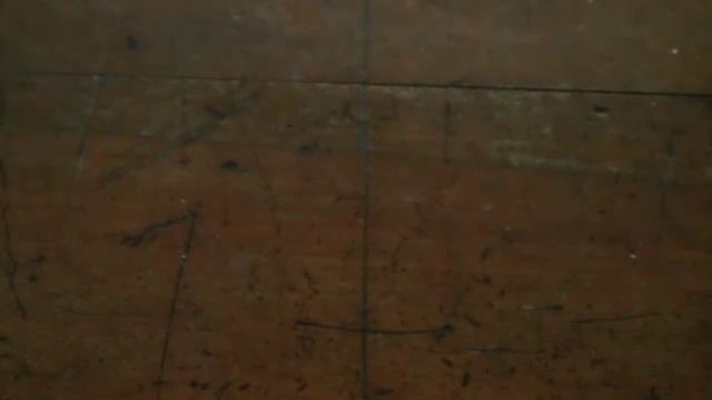 Nikon 17-55mm 2.8 G ED IF SWM AF-S смотреть онлайн