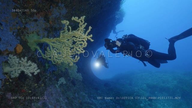 Ustica - Immersione Alla Scoperta Di Un Tesoro Nascosto