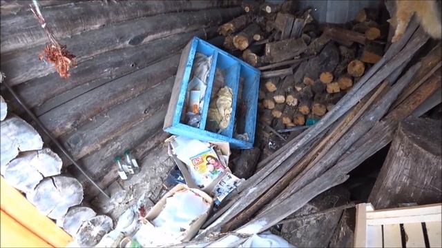 После праздников уехал в деревню . ИЗ ГОРОДА В ДЕРЕВНЮ смотреть онлайн