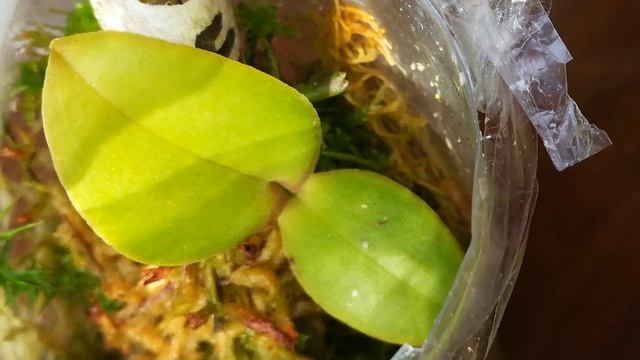 ХОРОШИЕ НОВОСТИ ИЗ БУТЫЛКИ❣️ 😀😇 смотреть онлайн