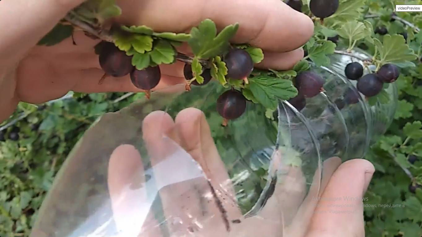 Полезная самоделка для дачников