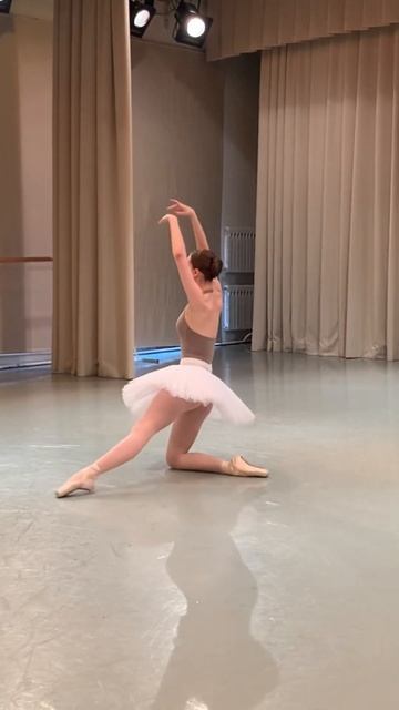 Умирающий лебедь 🦢