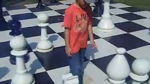 Playing Chess On Hotel Lawn