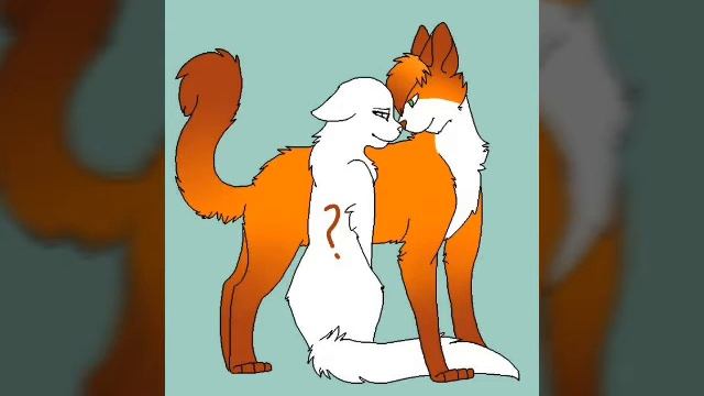 Ищу пару (кошку) 10000000% не найду смотреть онлайн