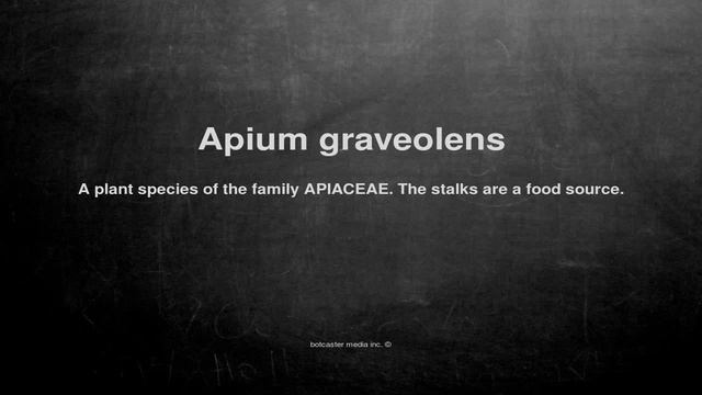Medical Vocabulary: What Does Apium Graveolens Mean