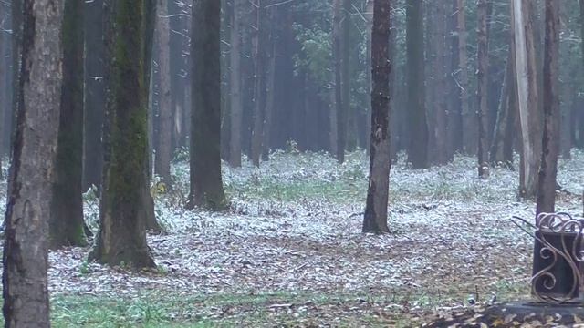 Прокопьевск. Первый снег смотреть онлайн