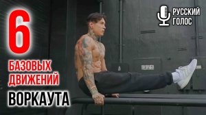 6 КОРОЛЕВСКИХ ДВИЖЕНИЙ для базы воркаута | советы КРИСА ХЕРИА