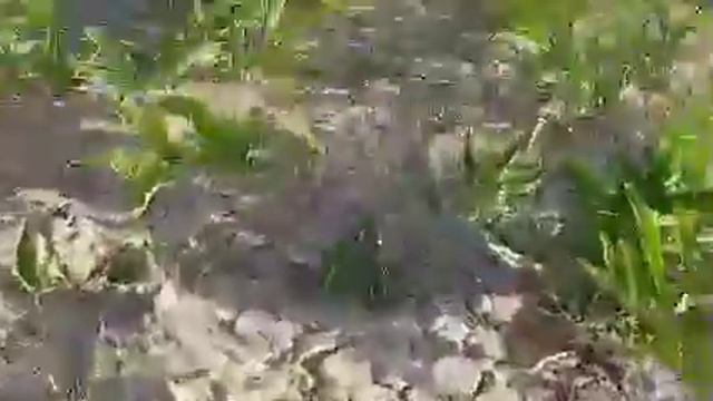 Kavrak 3yillik kavrak 934217776 смотреть онлайн