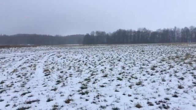 Участок под ИЖС в заповедном месте Тульского края смотреть онлайн