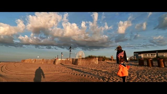 LUT's For GoPro PROTUNE | CEDAR LUT PACK