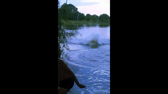 Прижок в воду з дерева, висота смотреть онлайн