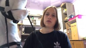 Обзор на мои хоббихорсов и на их амуницию!