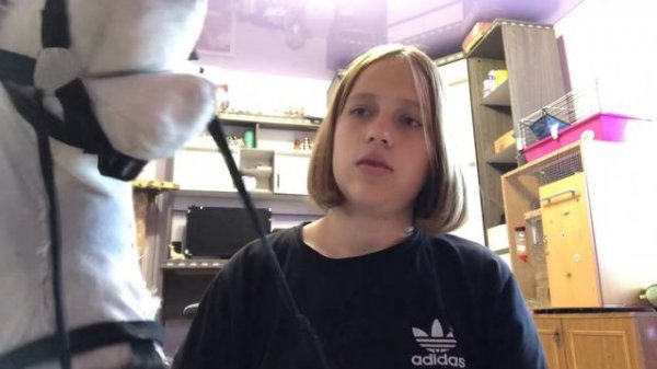 Обзор на мои хоббихорсов и на их амуницию!