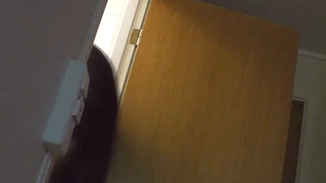 I Det Mørke 2 [2019] Norsk Grøsser