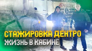 Стажеры Дентро! Увиделись, пообщались