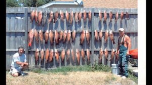 In Loving Memory Steve W.