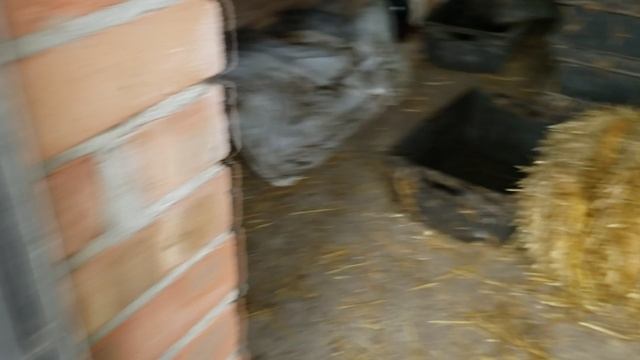 Разведение червей на соломе.Перелив в ящиках. смотреть онлайн