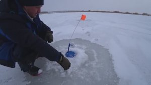 ЛОВЛЯ ЩУКИ НА ЖЕРЛИЦЫ В МАРТЕ