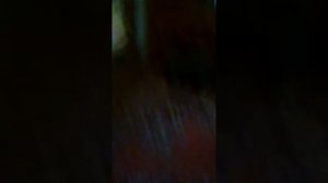 Железный тёма