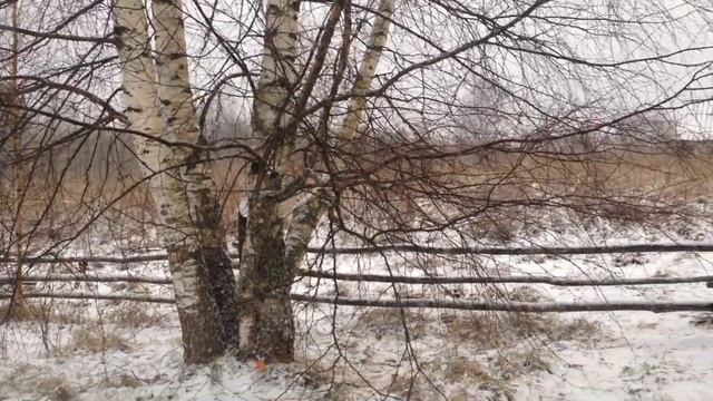 Художественный свист смотреть онлайн
