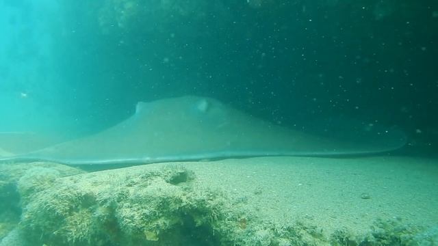 Machangulo Beach Lodge Mozambique