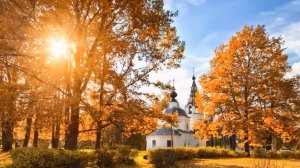 #00361 music#_Лучшие песни протоиерея Александра Старостенко