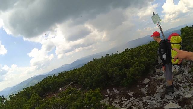 Горганская дичь.Gorgany Carpathian