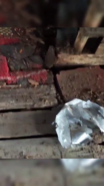 Мы поможем дому развалиться