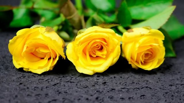 После неоднократных измен, жена подала на развод и хорошенько мужа проучила. Такого финала, муж... смотреть онлайн