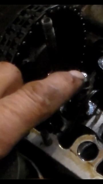 Садово-парковый мир