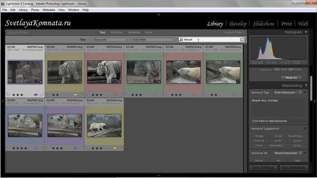 Урок 021 полного русского курса по Lightroom 2 смотреть онлайн